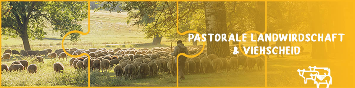 Pastoralismus & Transhumanz