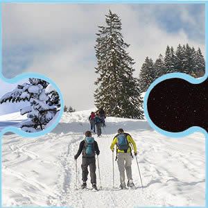 Iniciación al senderismo en raquetas de nieve